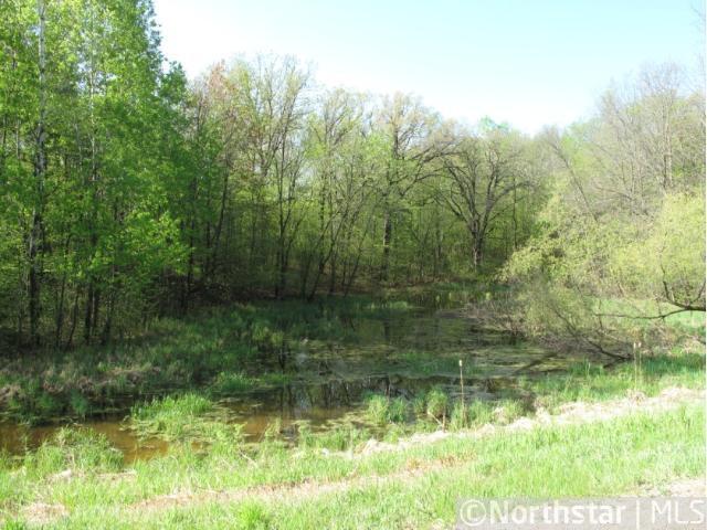 View of Land at Lot 9 Blk 1 130th Street, Maple Lake MN 55358, Maple Lake - Mike Wilen | Minnesota Team Real Estate