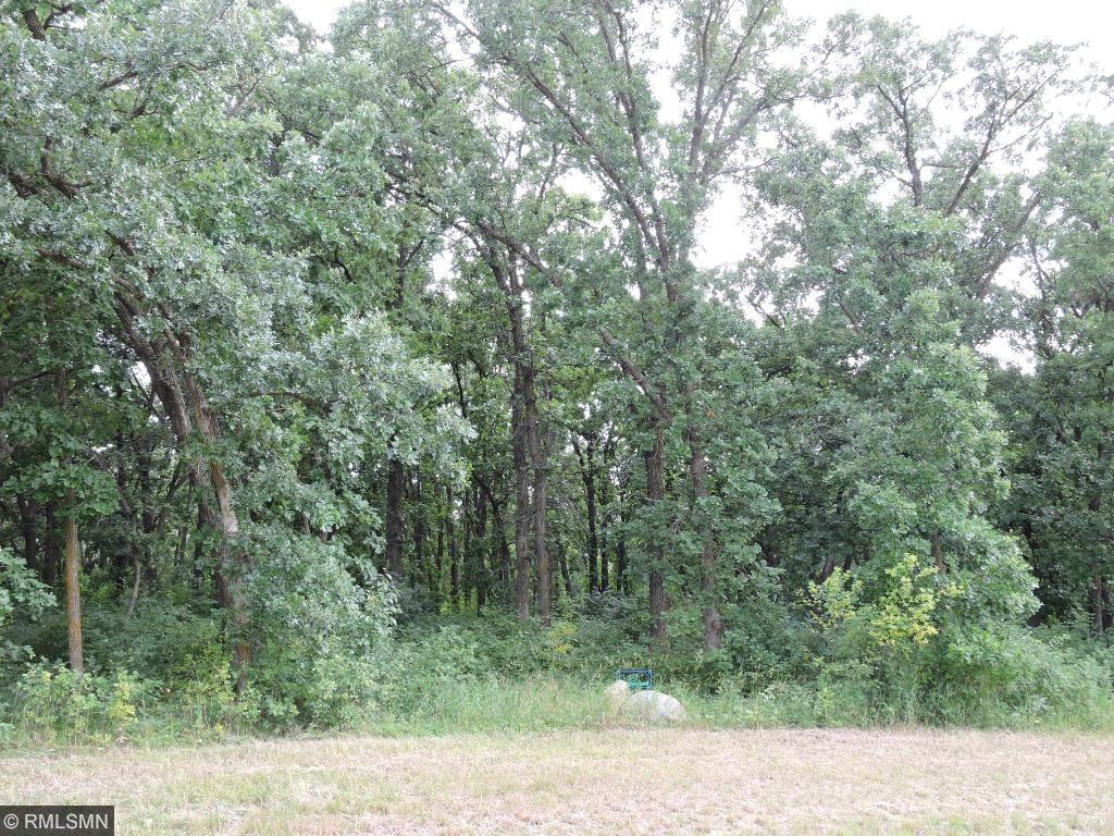 View of Land at Lot 1, Blk 3 82nd ST, Becker MN 55308, Becker - Mike Wilen | Minnesota Team Real Estate