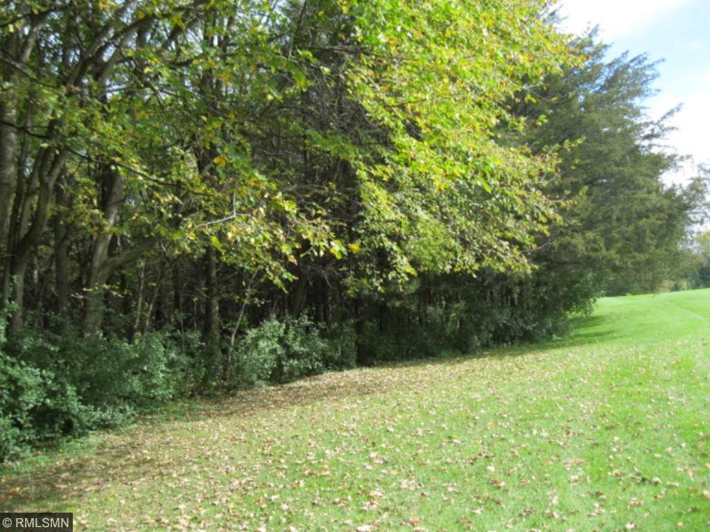 View of Land at xxxx 70th Street, Annandale MN 55302, Annandale - Mike Wilen | Minnesota Team Real Estate