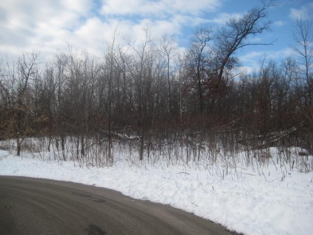 View of Land at 7427 132nd Circle, Savage MN 55378, Savage - Mike Wilen | Minnesota Team Real Estate