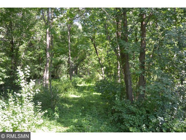 View of Land at 90XX Grey Cloud Island Drive, Saint Paul Park MN 55071, Saint Paul Park - Mike Wilen | Minnesota Team Real Estate