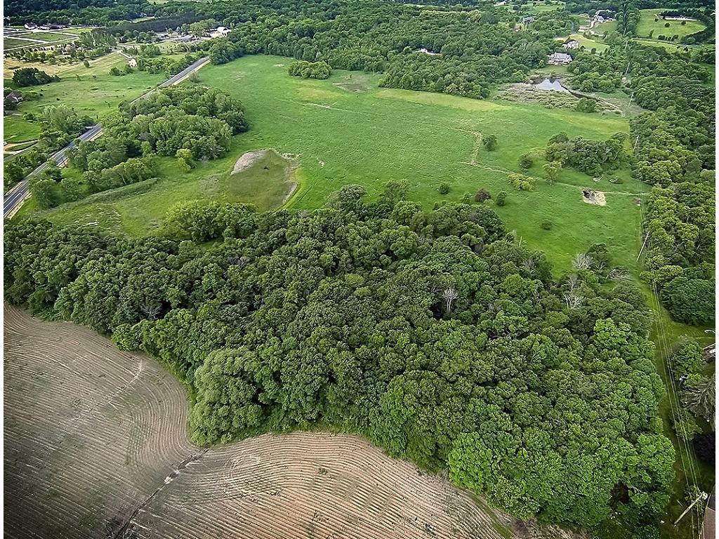 View of Land at XXXX Morgan Road, Medina MN 55340, Medina - Mike Wilen | Minnesota Team Real Estate