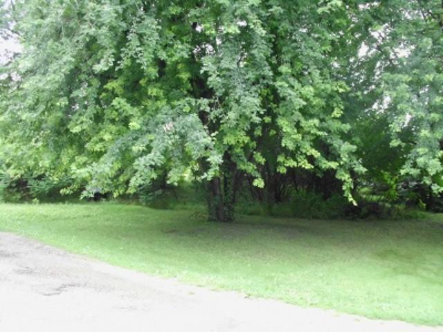 View of Land at 008 Greenland Lane, Elysian MN 56028, Elysian - Mike Wilen | Minnesota Team Real Estate