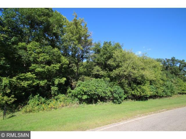 View of Land at Lt 6 Blk 1 Ivory Avenue, Annandale MN 55302, Annandale - Mike Wilen | Minnesota Team Real Estate