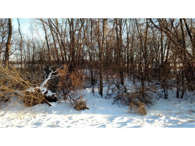 View of Land at 6246 Otter Lake Road, Lino Lakes MN 55014, Lino Lakes - Mike Wilen | Minnesota Team Real Estate