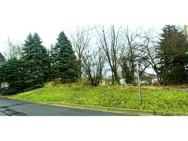 View of Land at 1322 Livingston Ave, West Saint Paul MN 55118, West Saint Paul - Mike Wilen | Minnesota Team Real Estate