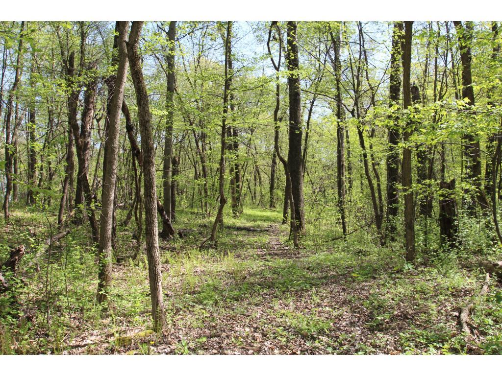 View of Land at 72xx 150th, Clearwater MN 55320, Clearwater - Mike Wilen | Minnesota Team Real Estate