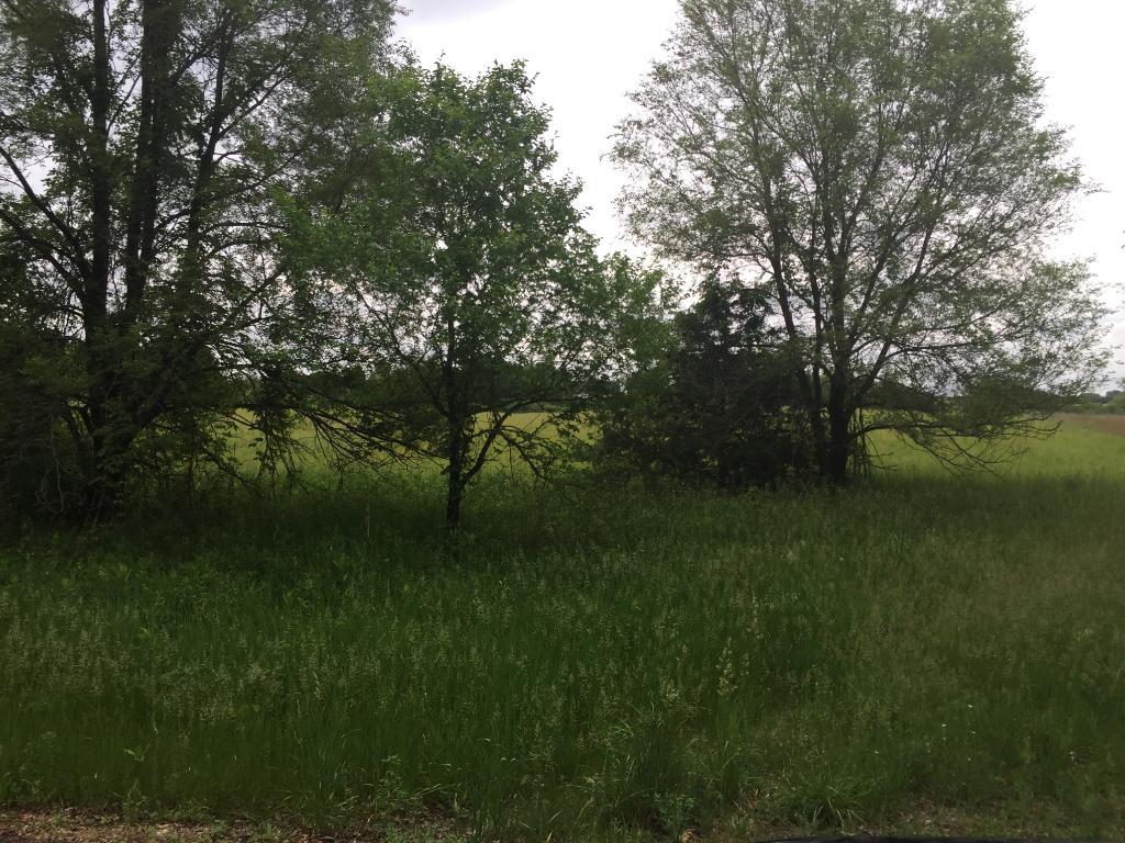 View of Land at Xxx Ideal Avenue, Mahtomedi MN 55115, Mahtomedi - Mike Wilen | Minnesota Team Real Estate