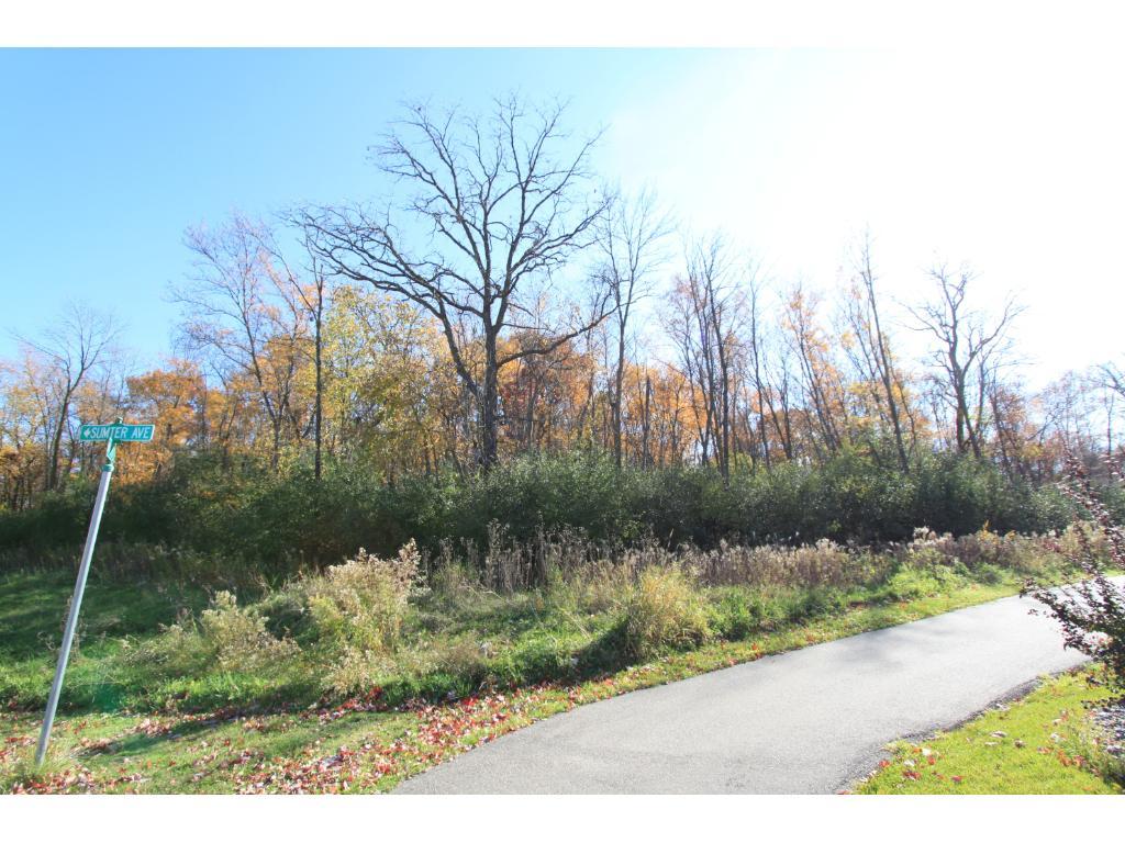 View of Land at 14777 Sumter Avenue, Savage MN 55378, Savage - Mike Wilen | Minnesota Team Real Estate