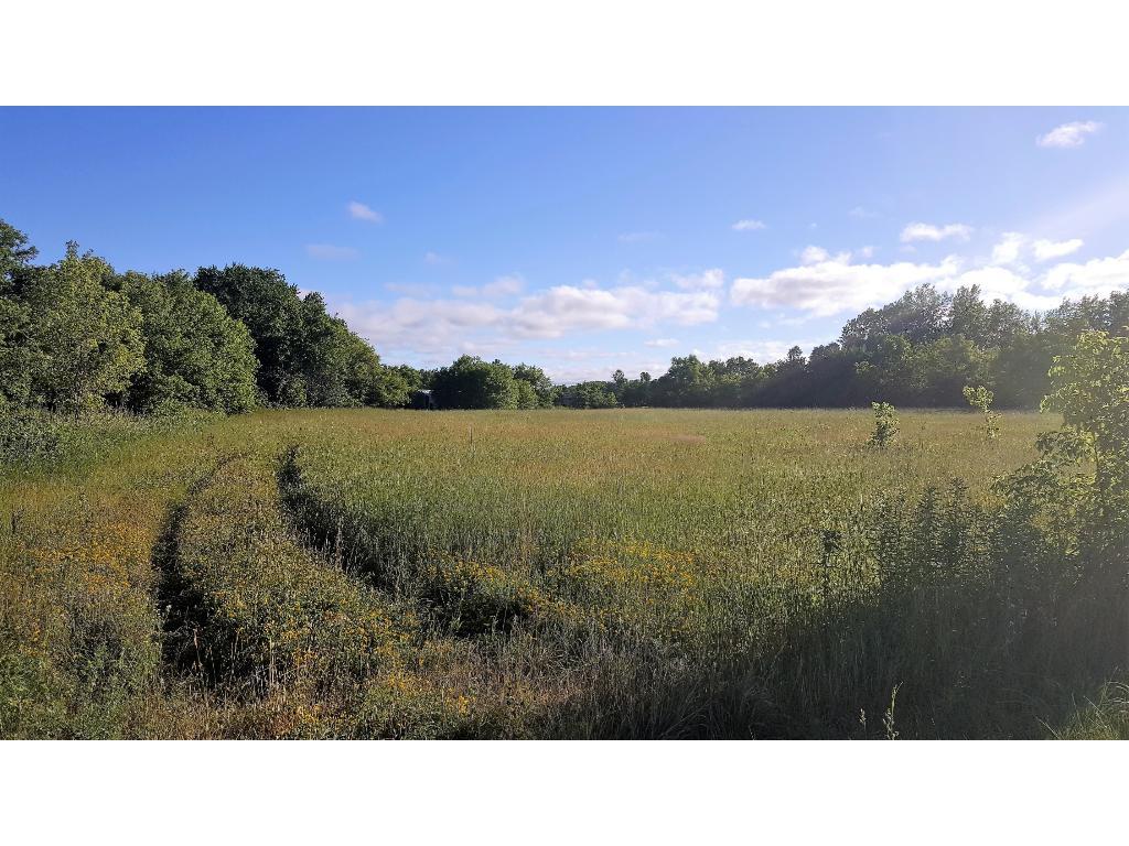 View of Land at 8948 142nd Street, Milaca MN 56353, Milaca - Mike Wilen | Minnesota Team Real Estate