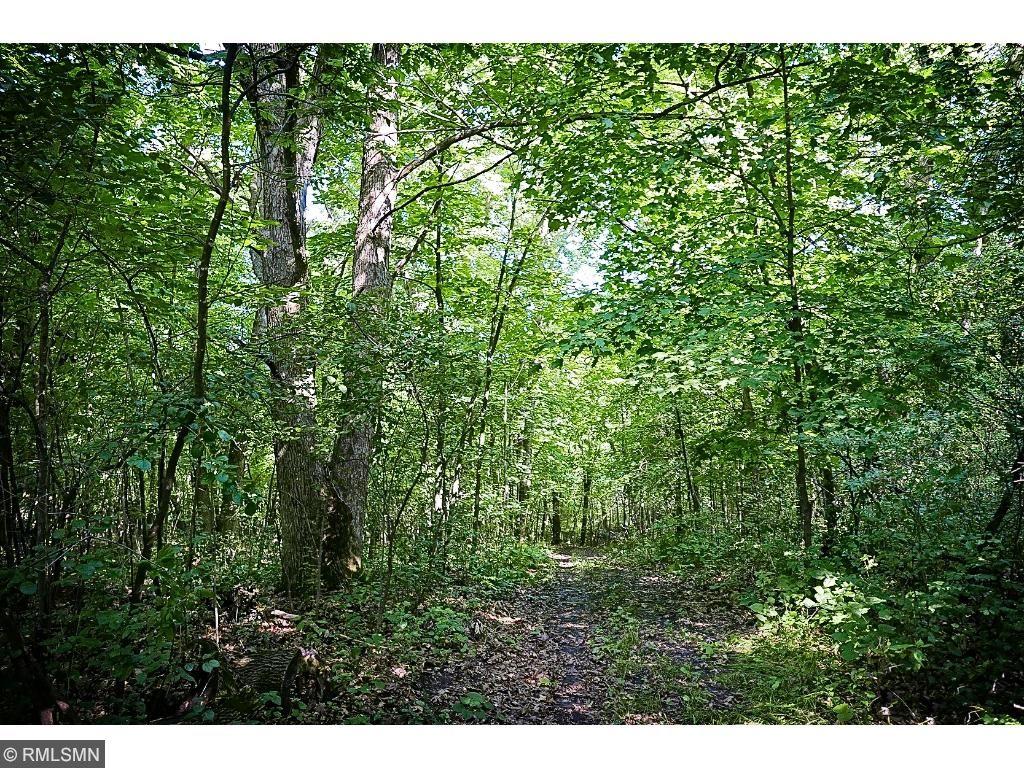 View of Land at 12XXX Gowan Avenue, Clearwater MN 55320, Clearwater - Mike Wilen | Minnesota Team Real Estate
