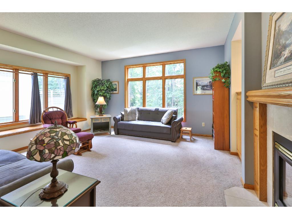 View of Residential at 9661 Trillium Court, Champlin MN 55316, Champlin - Mike Wilen | Minnesota Team Real Estate