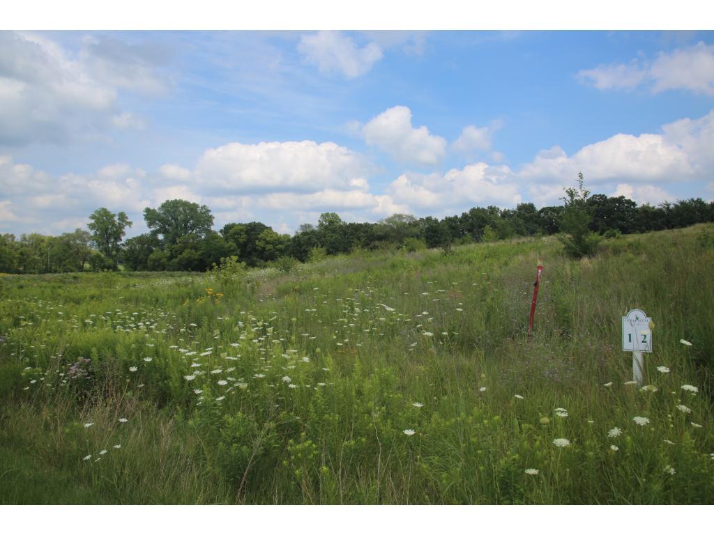 View of Land at 12234 Meadow Bluff Trail, Afton MN 55001, Afton - Mike Wilen | Minnesota Team Real Estate
