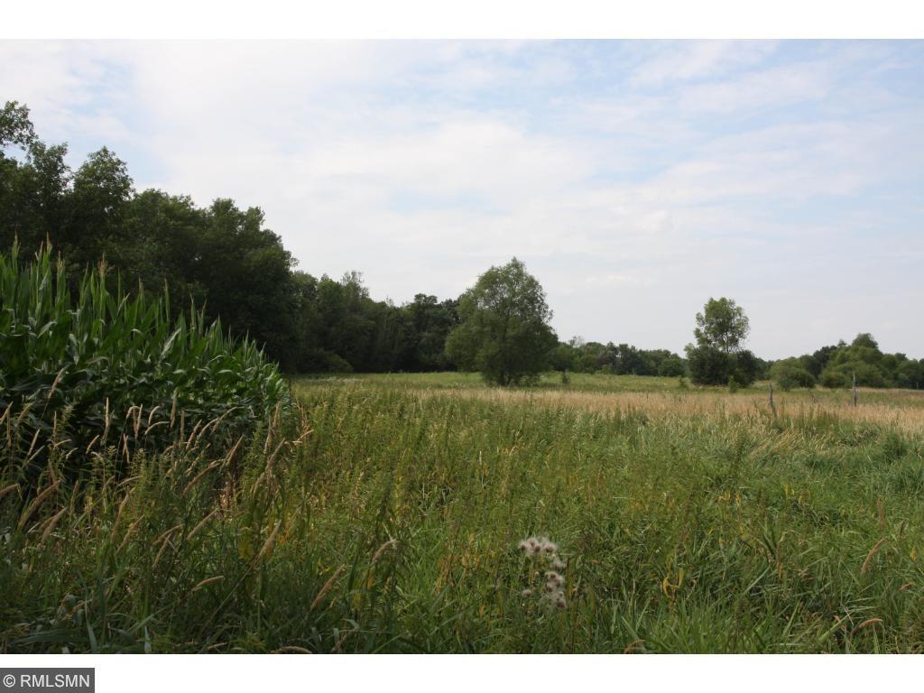View of Land at xxxx Sandy Drive, East Bethel MN 55005, East Bethel - Mike Wilen | Minnesota Team Real Estate