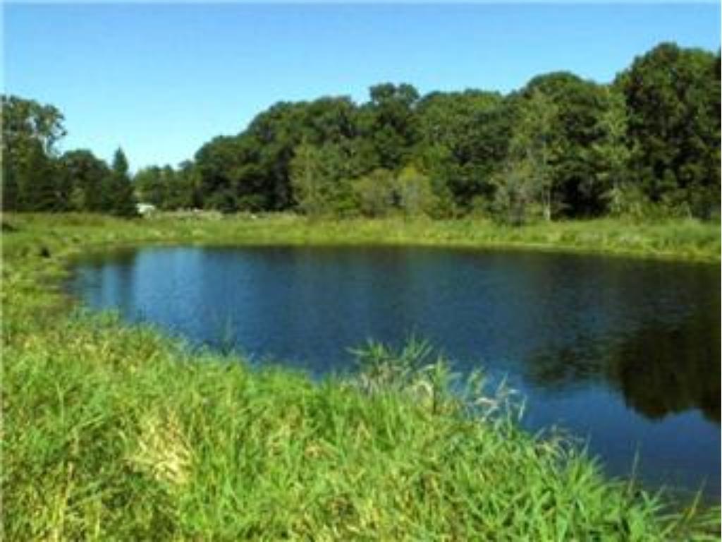View of Land at xxx Lot 4 245th Avenue, Big Lake MN 55309, Big Lake - Mike Wilen | Minnesota Team Real Estate