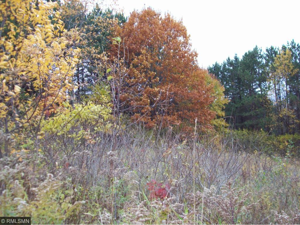 View of Land at Lot 5 Blk 2 263rd Lane, Chisago City MN 55013, Chisago City - Mike Wilen | Minnesota Team Real Estate