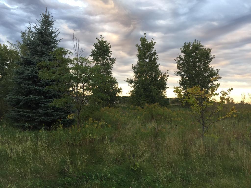 View of Land at 1984 Paris Alcove, West Lakeland MN 55082, West Lakeland - Mike Wilen | Minnesota Team Real Estate