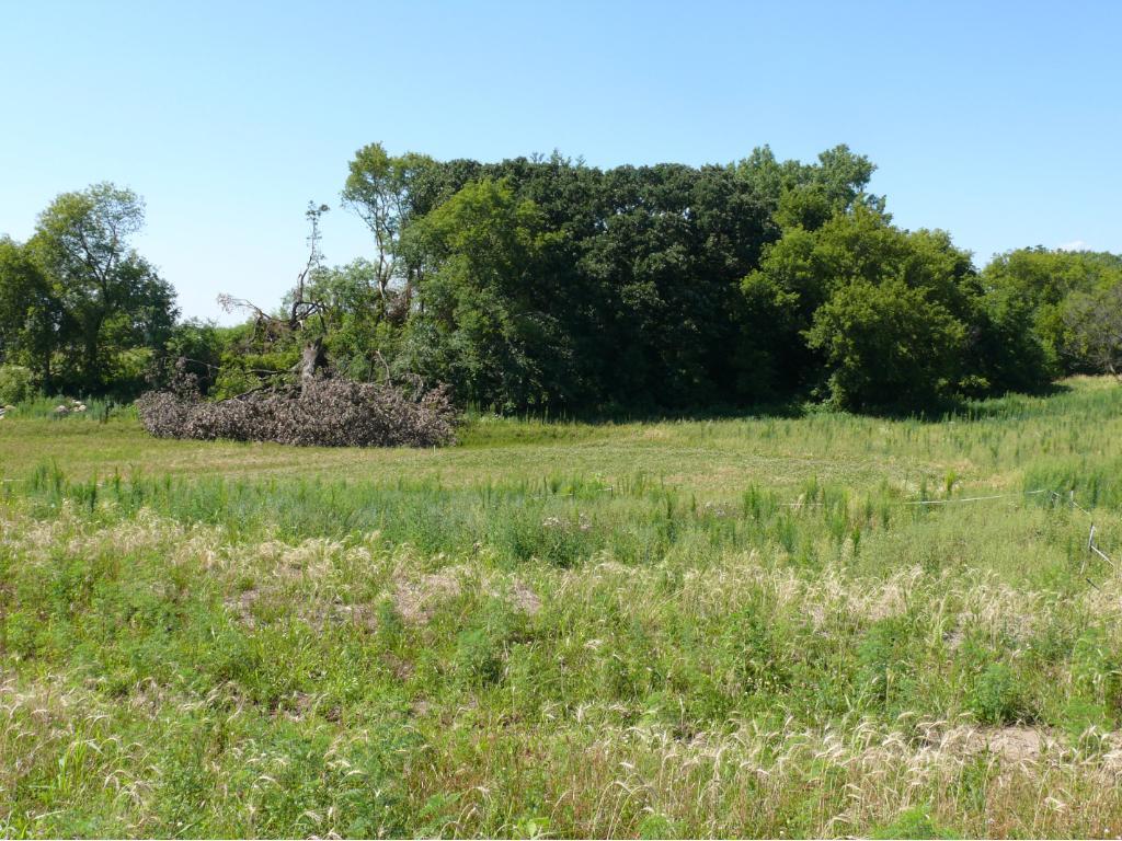 View of Land at 10388 Southern Oaks Drive, Lakeville MN 55044, Lakeville - Mike Wilen | Minnesota Team Real Estate