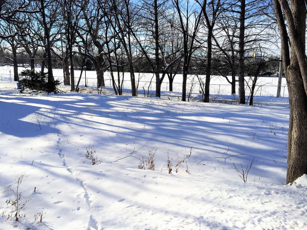 View of Land at 1474 Brompton Street, Saint Paul MN 55108, Saint Paul - Mike Wilen | Minnesota Team Real Estate