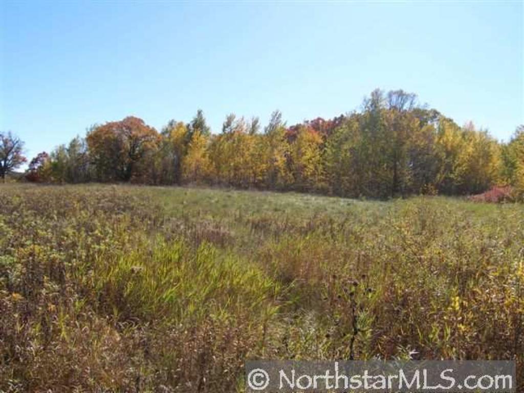 View of Land at XXX 470th Street, Harris MN 55032, Harris - Mike Wilen | Minnesota Team Real Estate