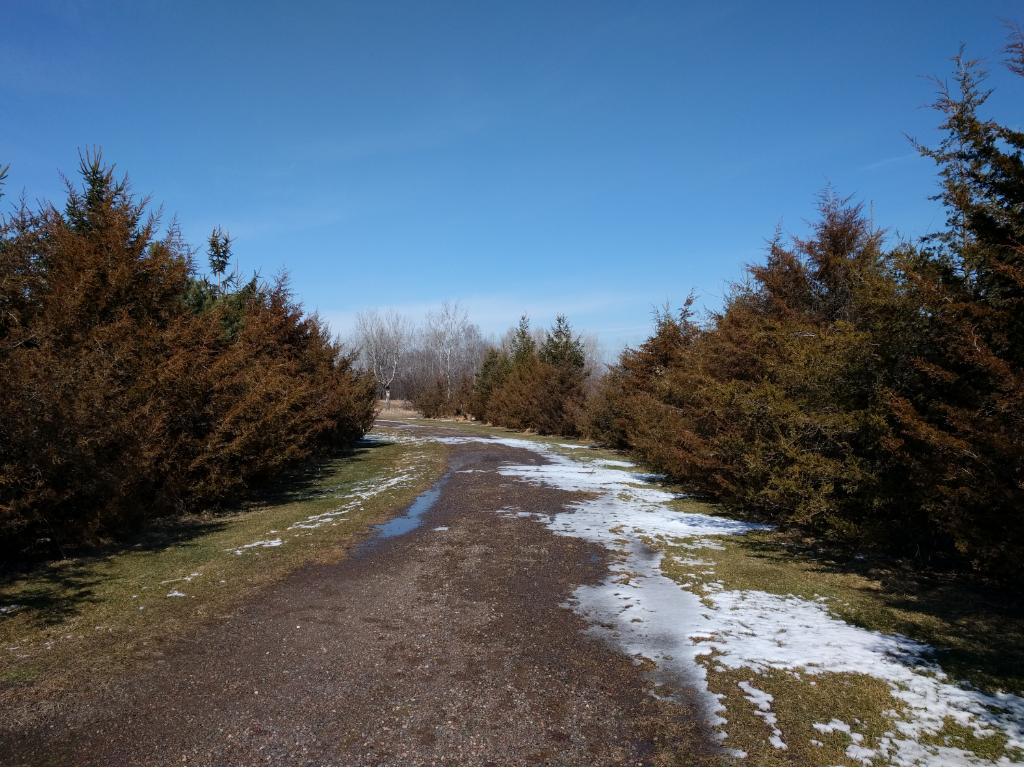 View of Land at 14636 Green Meadow Road, Milaca MN 56353, Milaca - Mike Wilen | Minnesota Team Real Estate