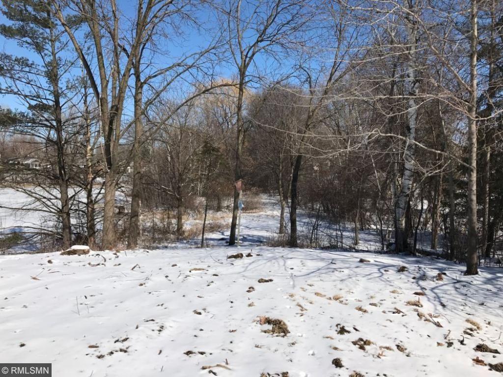 View of Land at 1025 Wescott Road, Eagan MN 55123, Eagan - Mike Wilen | Minnesota Team Real Estate