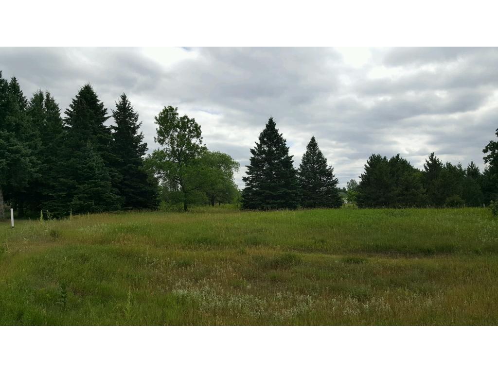 View of Land at 11039 State Highway 95, Princeton MN 55371, Princeton - Mike Wilen | Minnesota Team Real Estate