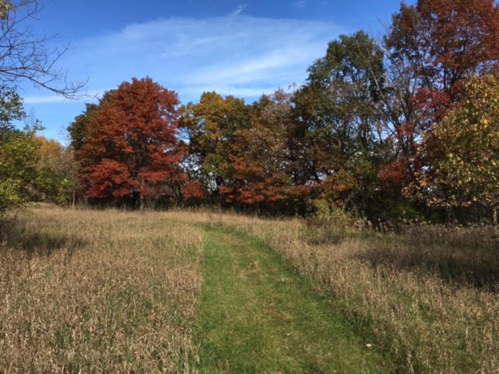 View of Land at 14xxx St Croix Trail Trail, Marine On Saint Croix MN 55047, Marine On Saint Croix - Mike Wilen | Minnesota Team Real Estate