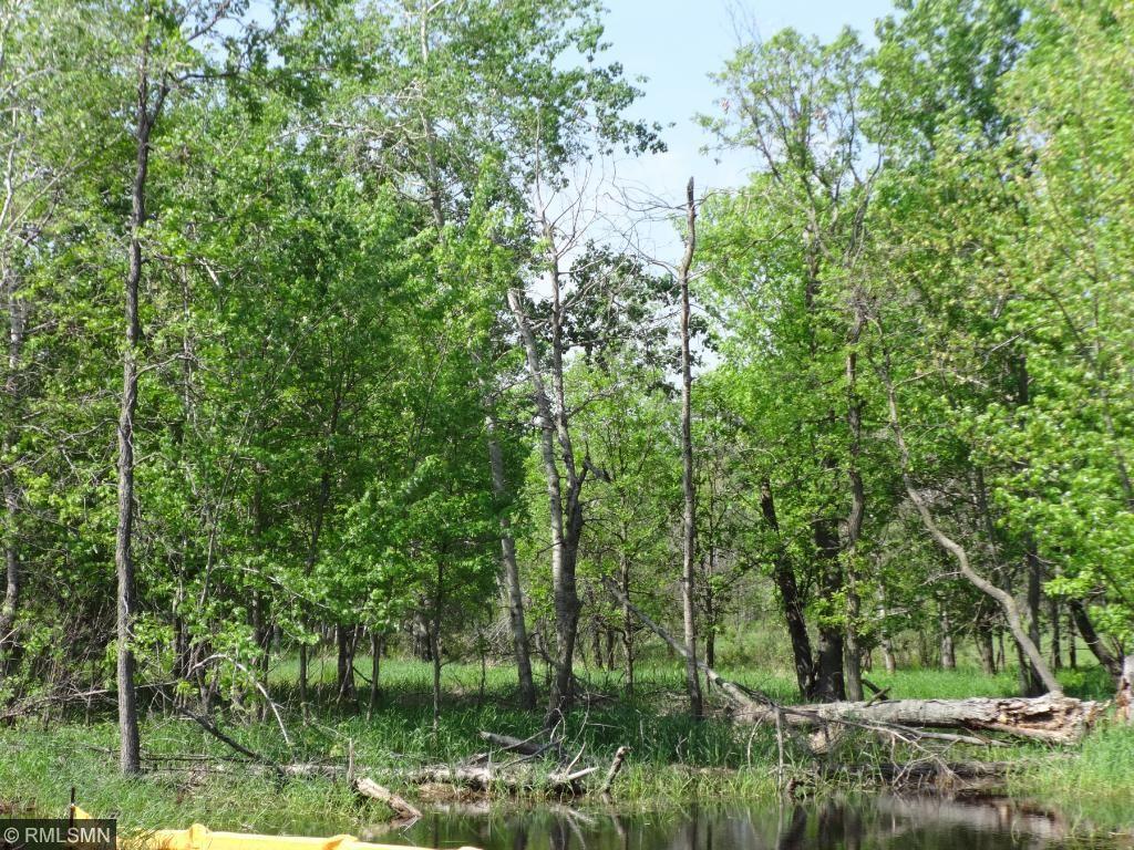 View of Land at unassigned Highway 65, East Bethel MN 55011, East Bethel - Mike Wilen | Minnesota Team Real Estate