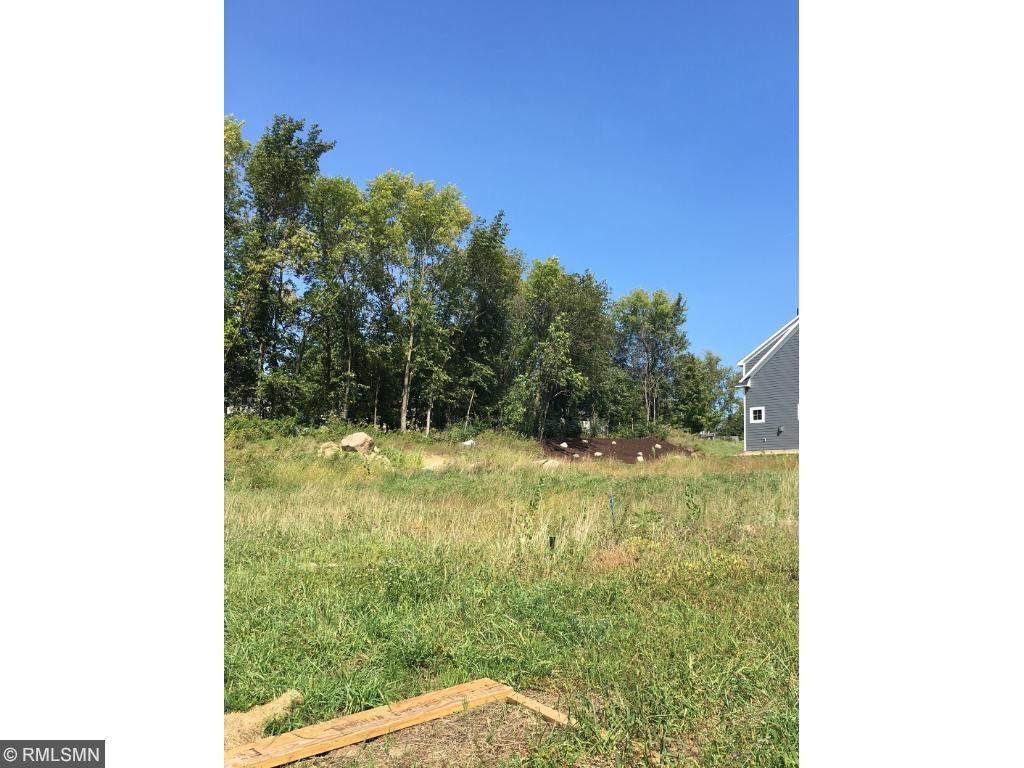 View of Land at 14242 Shady Beach Drive, Prior Lake MN 55372, Prior Lake - Mike Wilen | Minnesota Team Real Estate