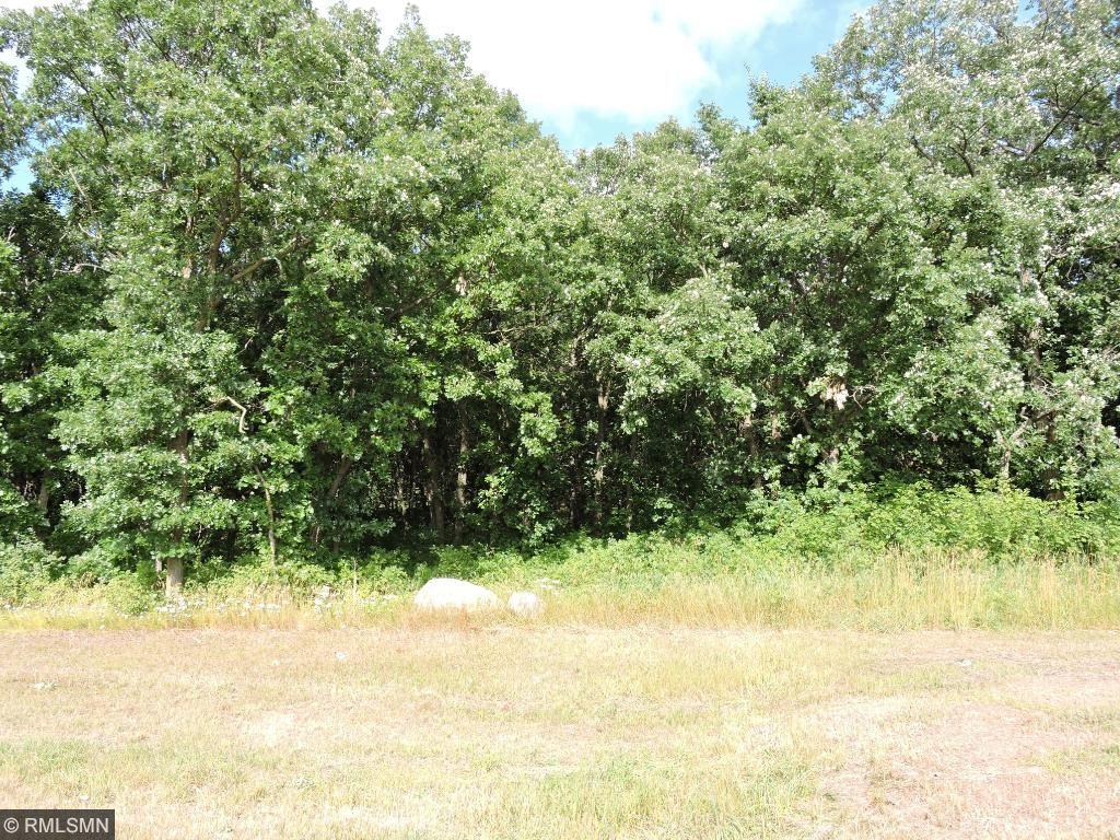 View of Land at Lot 3, Blk 3 122nd Ave, Becker MN 55308, Becker - Mike Wilen | Minnesota Team Real Estate
