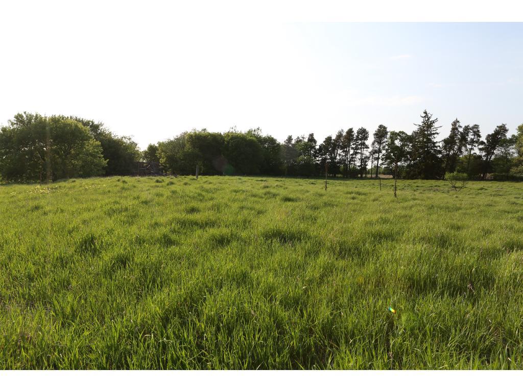 View of Residential at 22055 Rum River Boulevard, Anoka MN 55303, Anoka - Mike Wilen | Minnesota Team Real Estate