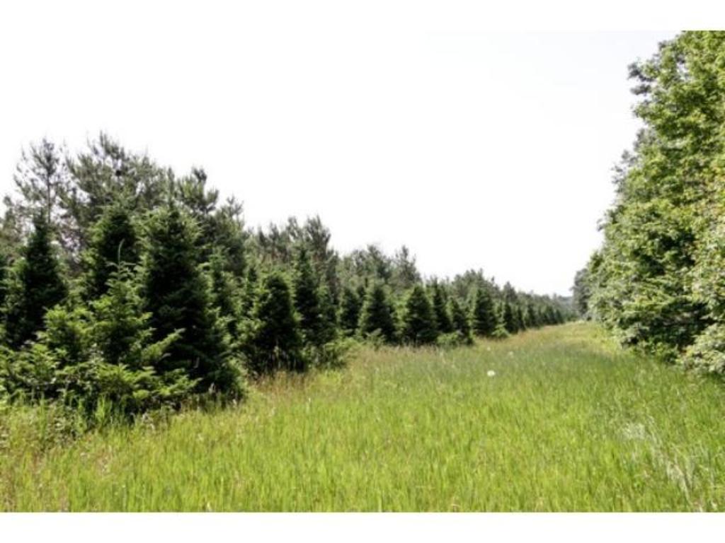 View of Land at 11821 Sunrise Road, Harris MN 55032, Harris - Mike Wilen | Minnesota Team Real Estate