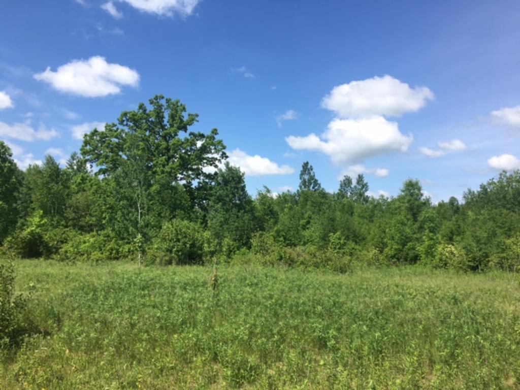 View of Land at 20761 137th Avenue, Milaca MN 56353, Milaca - Mike Wilen | Minnesota Team Real Estate