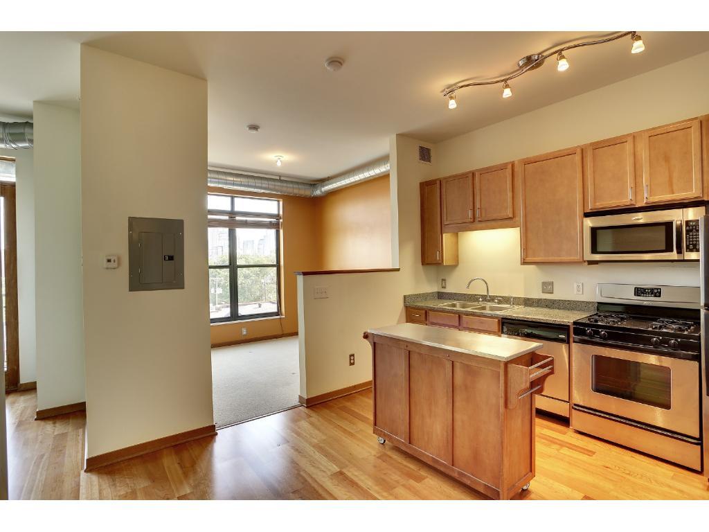 View of Residential at 15 Franklin Avenue #408, Minneapolis MN 55404, Minneapolis - Mike Wilen | Minnesota Team Real Estate