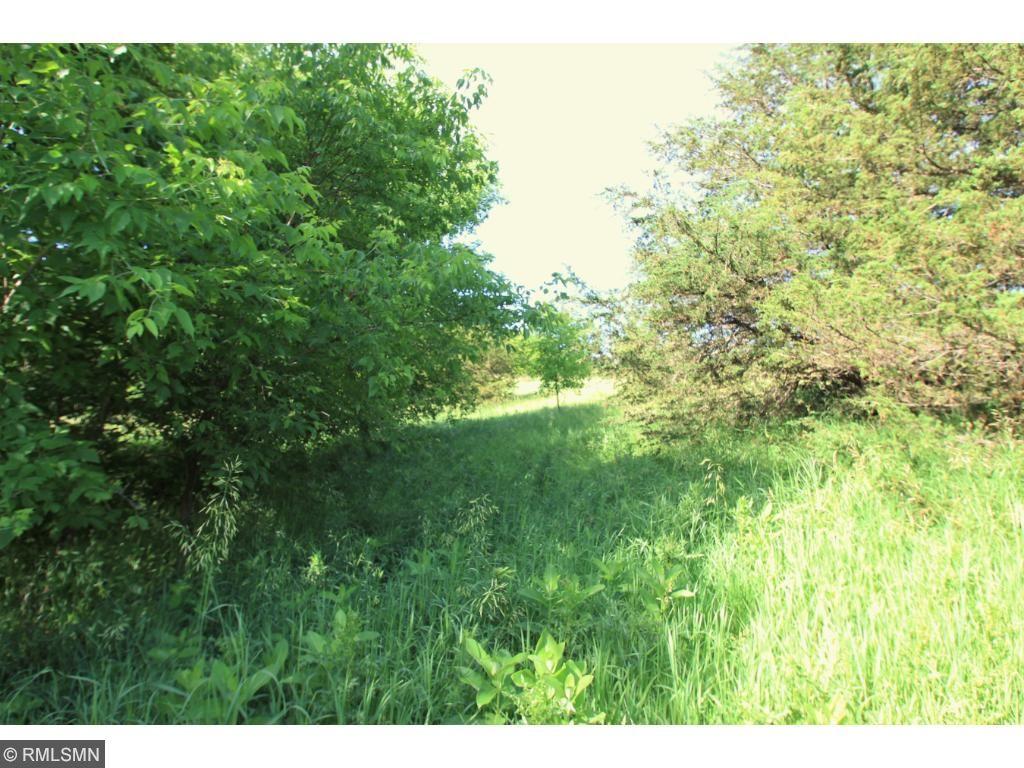 View of Land at 112XX Hwy 24, Annandale MN 55302, Annandale - Mike Wilen | Minnesota Team Real Estate