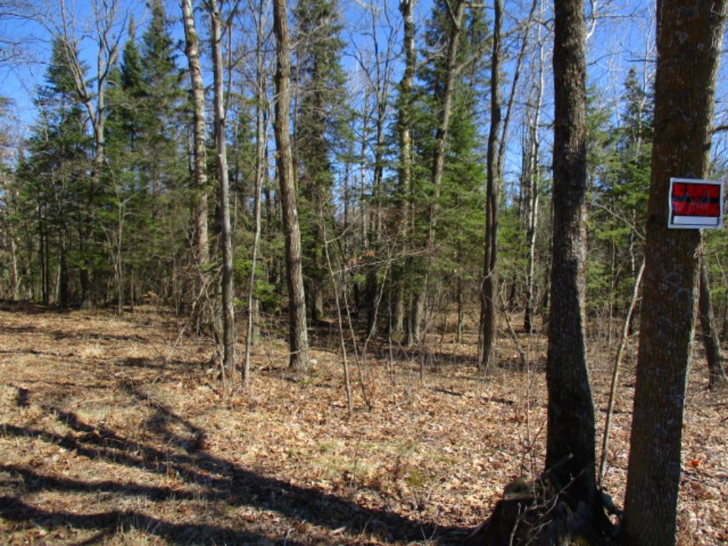 View of Land at 23XX 470th Street, Isle MN 56342, Isle - Mike Wilen | Minnesota Team Real Estate