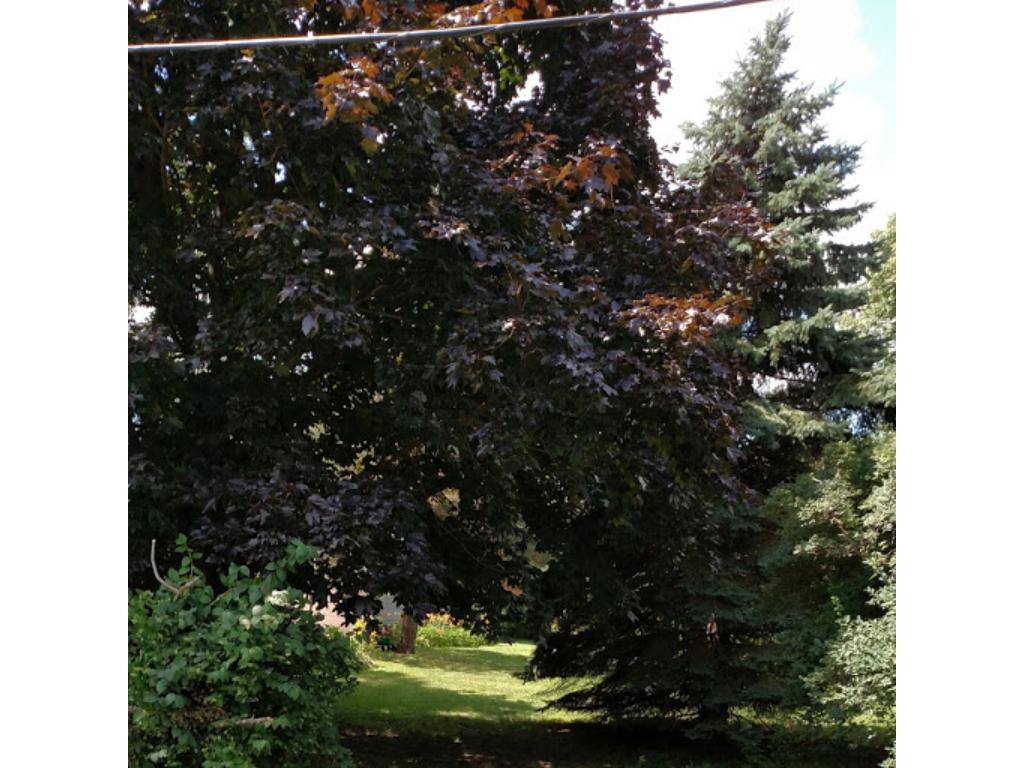 View of Land at 17XX Fulham Avenue, Lauderdale MN 55113, Lauderdale - Mike Wilen | Minnesota Team Real Estate