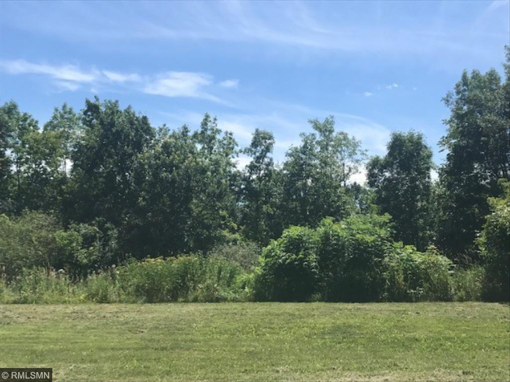 View of Land at 780 Rush Creek Lane, Rush City MN 55069, Rush City - Mike Wilen | Minnesota Team Real Estate