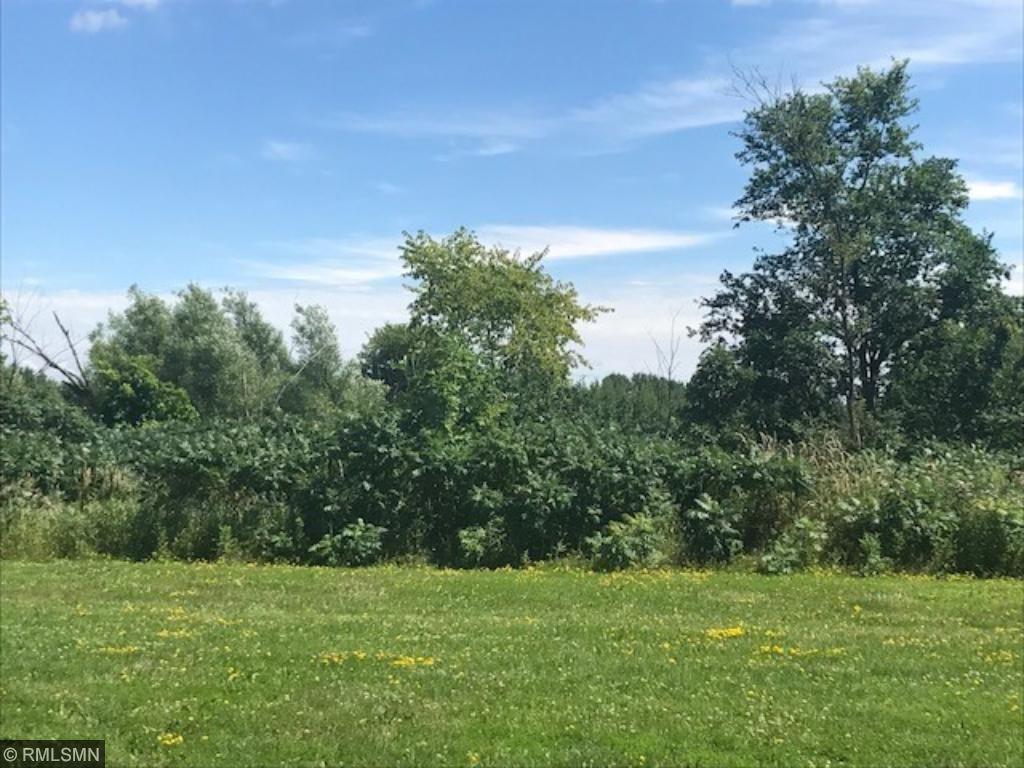 View of Land at 745 Rush Creek Lane, Rush City MN 55069, Rush City - Mike Wilen | Minnesota Team Real Estate