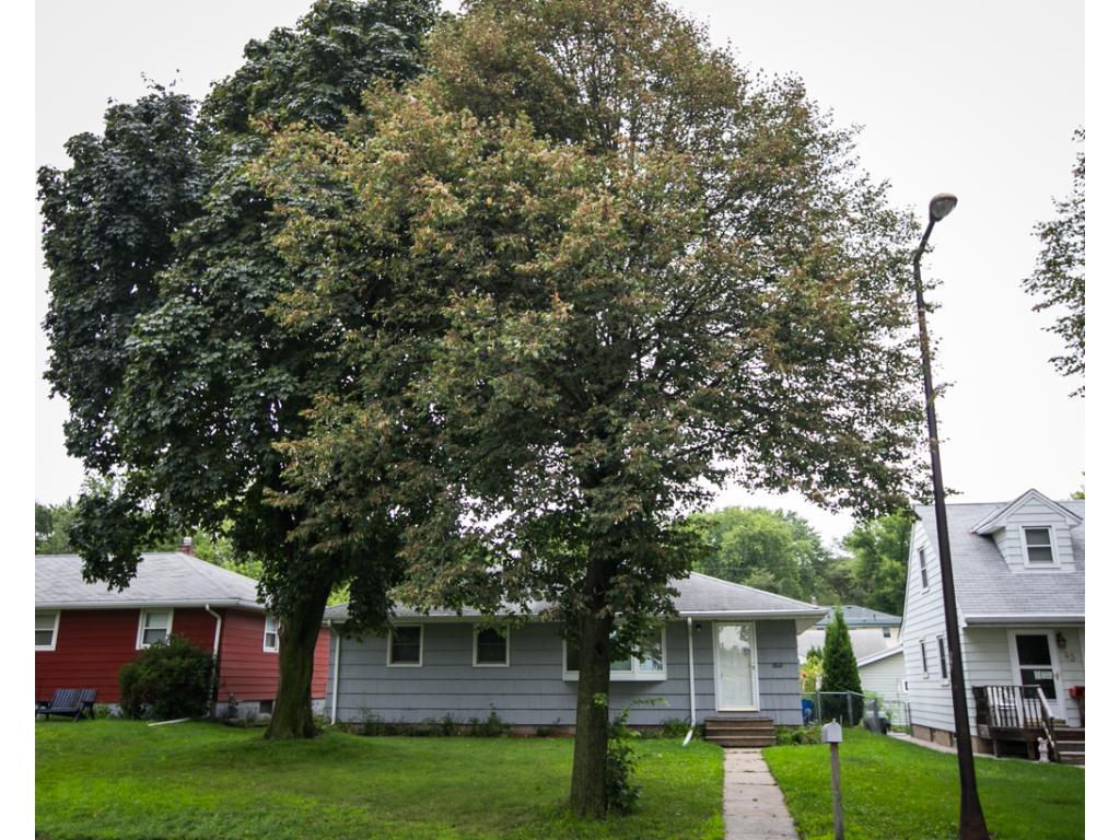 View of Residential at 49 Montana Avenue, Saint Paul MN 55117, Saint Paul - Mike Wilen | Minnesota Team Real Estate