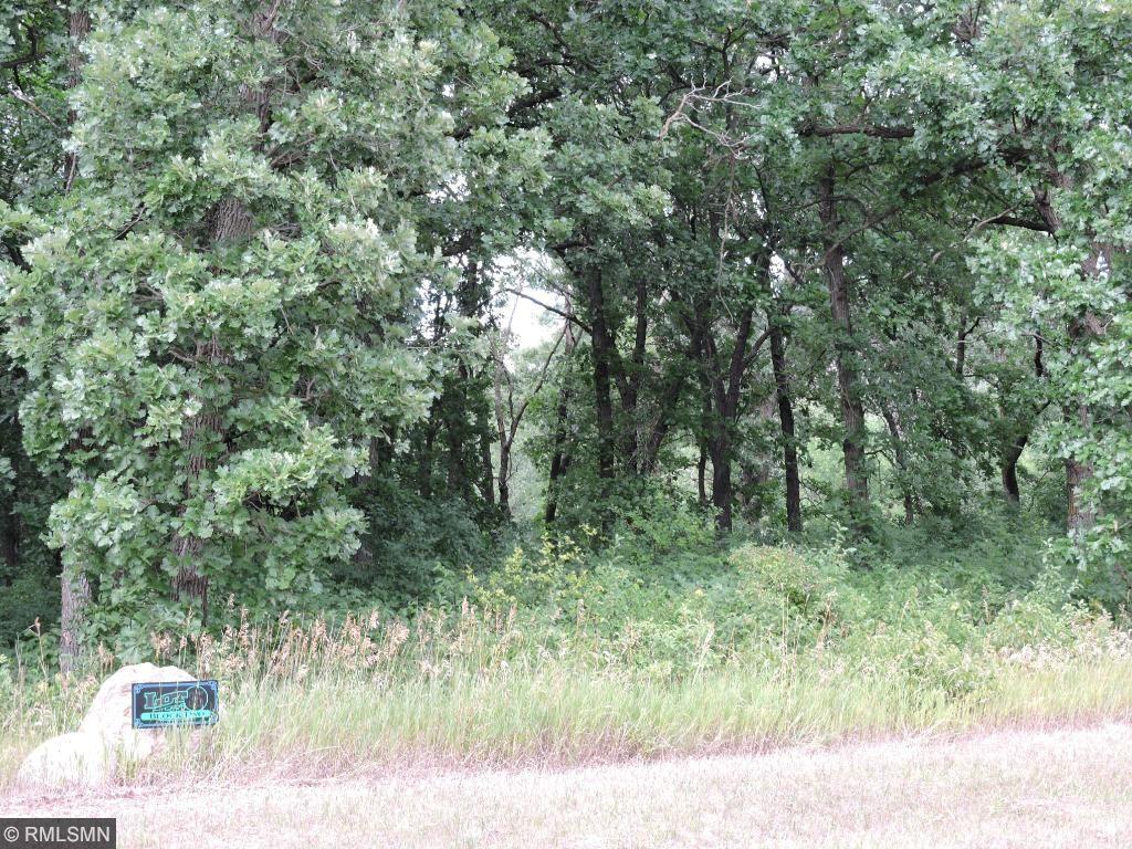 View of Land at Lot35, Blk 2 82nd St Avenue, Becker MN 55308, Becker - Mike Wilen | Minnesota Team Real Estate