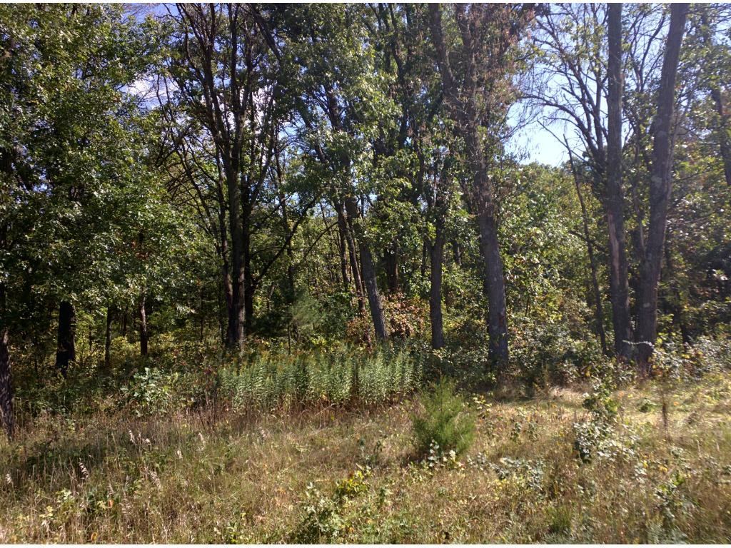 View of Land at Lot 3 Blk 2 190th Street, Big Lake MN 55309, Big Lake - Mike Wilen | Minnesota Team Real Estate