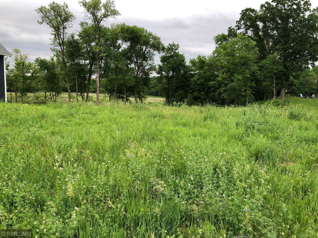 View of Land at 8611 Bluestem Drive, Victoria MN 55386, Victoria - Mike Wilen | Minnesota Team Real Estate