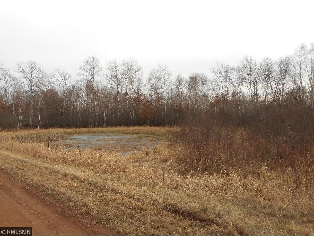 View of Residential at 45939 Holman Avenue, Harris MN 55032, Harris - Mike Wilen | Minnesota Team Real Estate