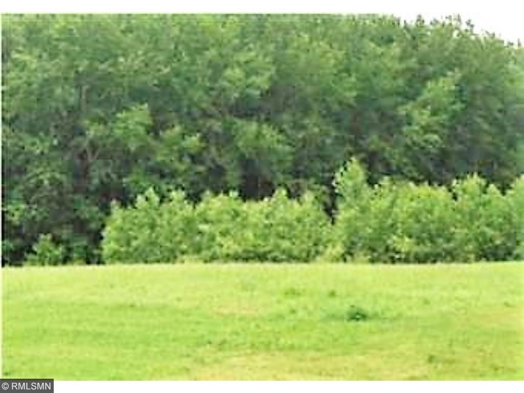 View of Land at 335 Lachermeier Lane, Waverly MN 55390, Waverly - Mike Wilen | Minnesota Team Real Estate