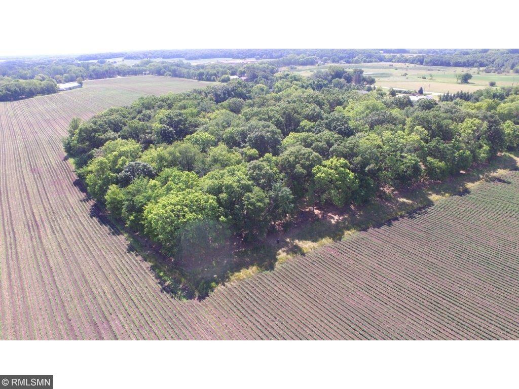 View of Land at XXX (Lot D) County Road 14, Delano MN 55328, Delano - Mike Wilen | Minnesota Team Real Estate