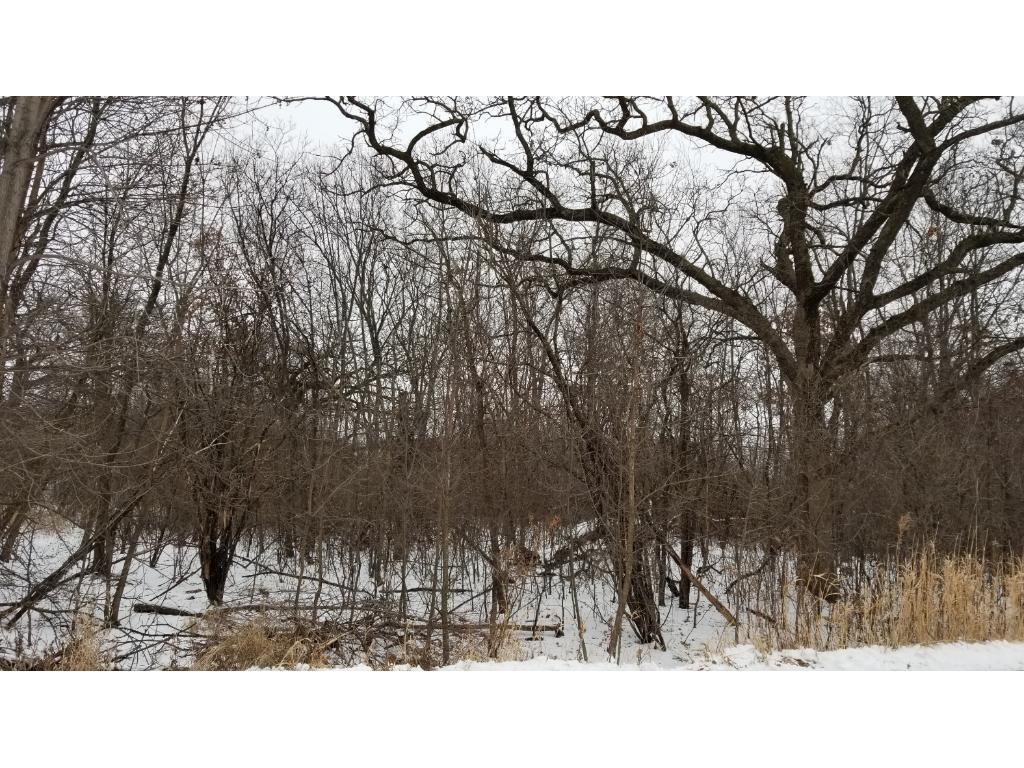 View of Land at 8XX Cologne Lane, Waverly MN 55390, Waverly - Mike Wilen | Minnesota Team Real Estate