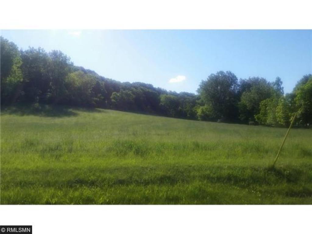 View of Land at 20321 Cedar Valley Drive, Sand Creek Twp MN 55352, Sand Creek Twp - Mike Wilen | Minnesota Team Real Estate