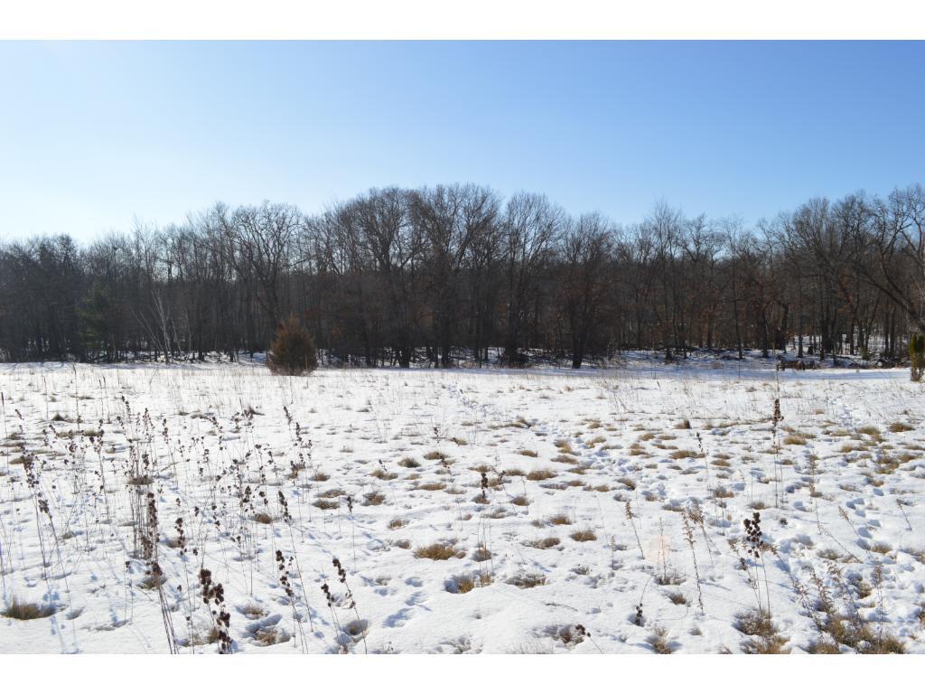 View of Land at xxx Mackenzie Street, Stacy MN 55079, Stacy - Mike Wilen | Minnesota Team Real Estate